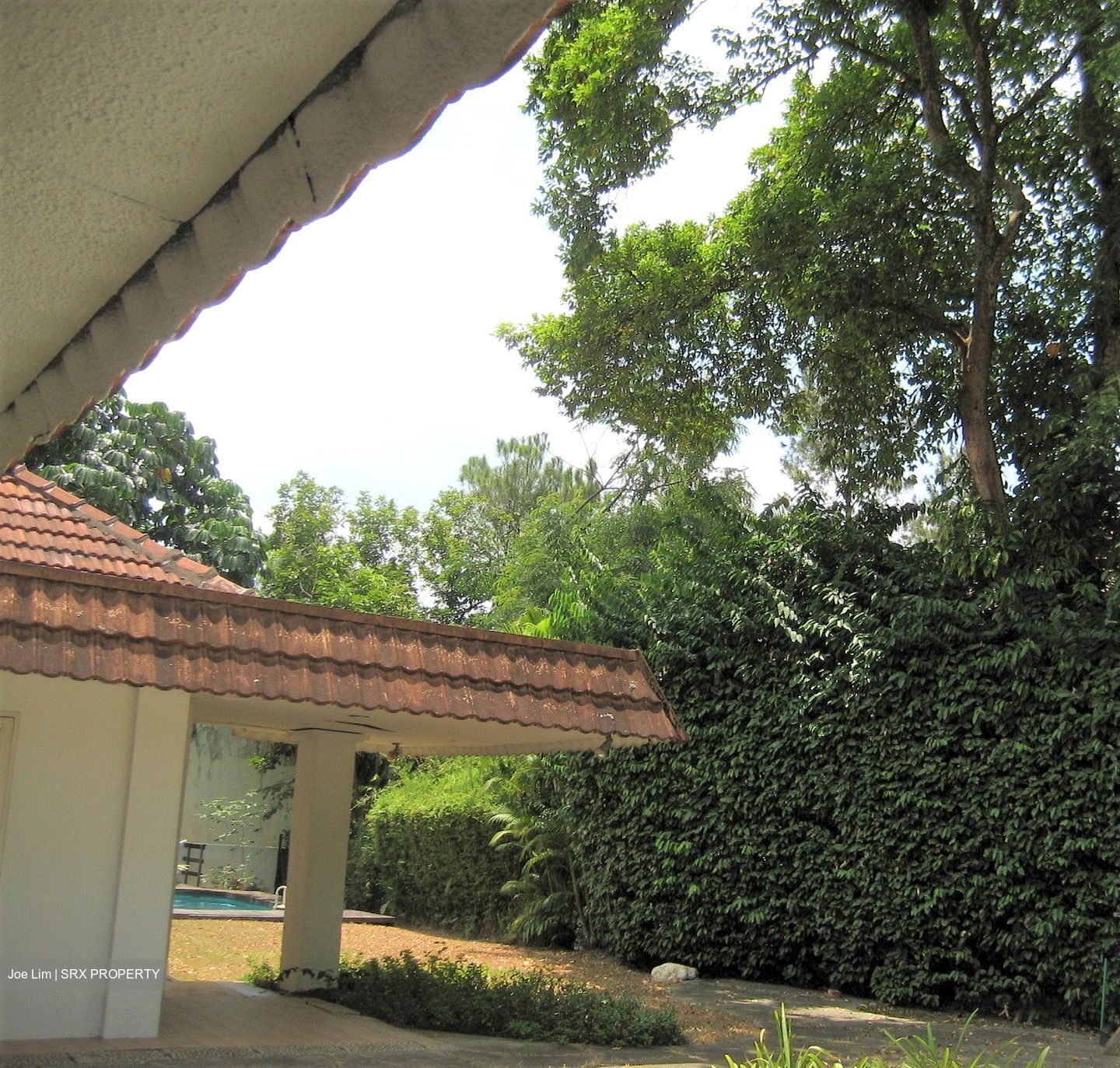 Morley Road (D10), Detached #285711571